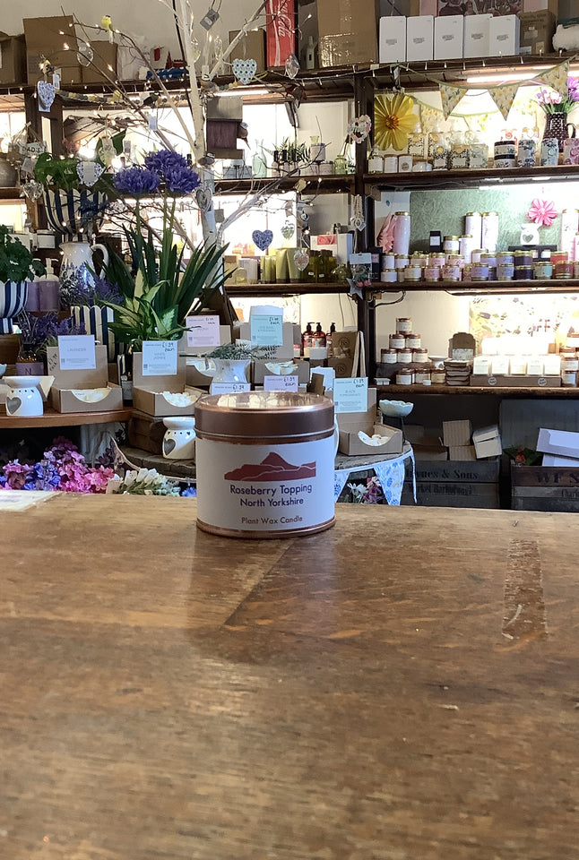 Roseberry gifts plant wax scented candle